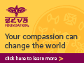 Seva Foundation banner